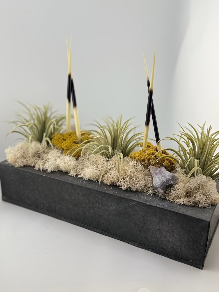 Succulent Small