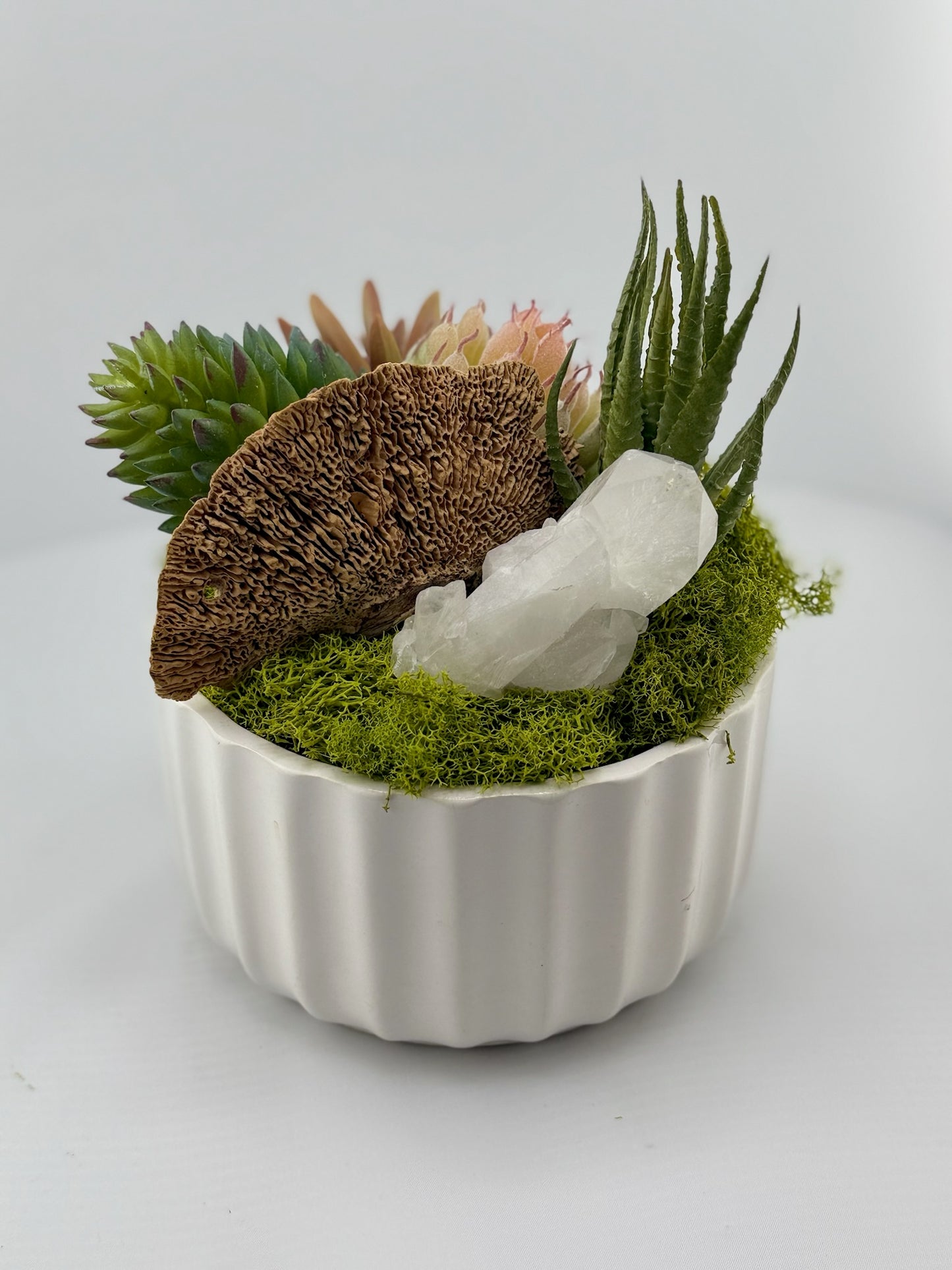 Petite Succulent