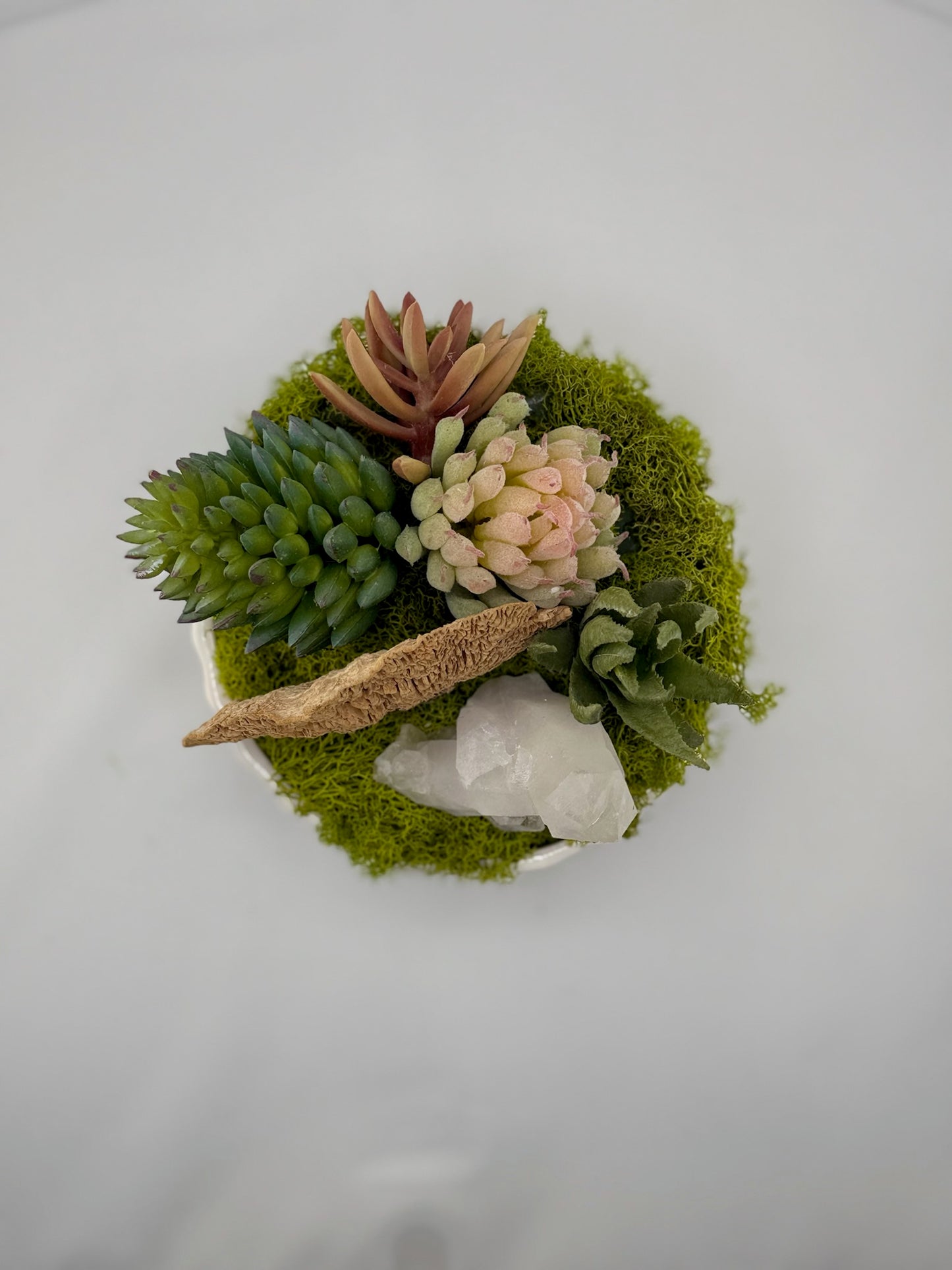 Petite Succulent