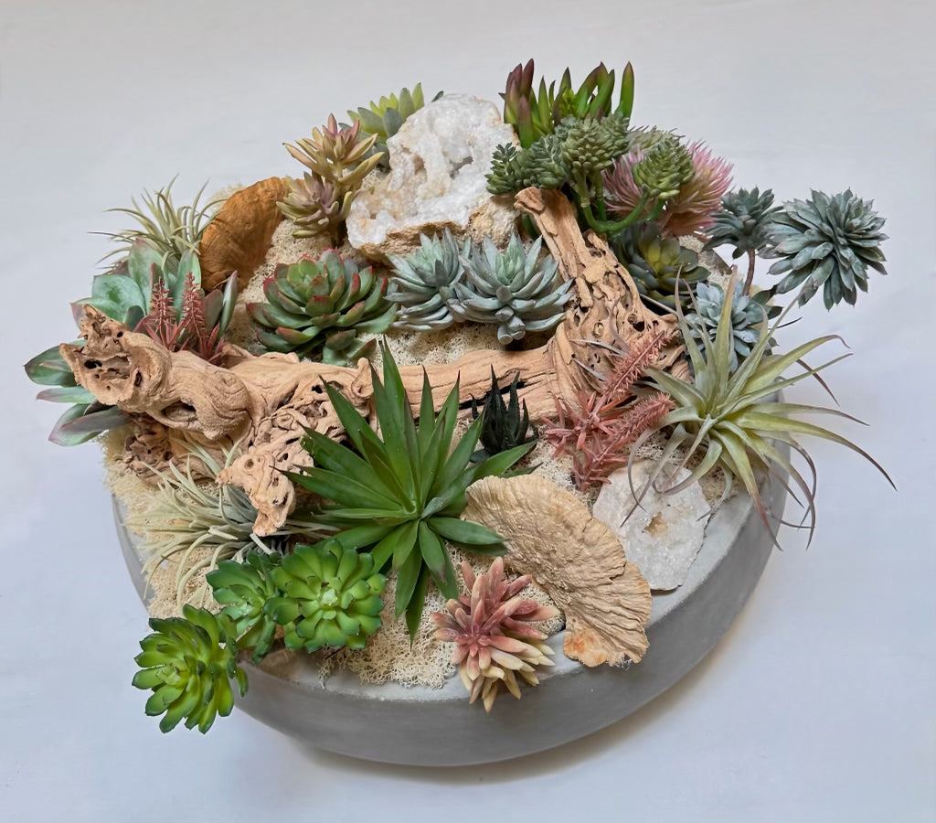 Succulent Large