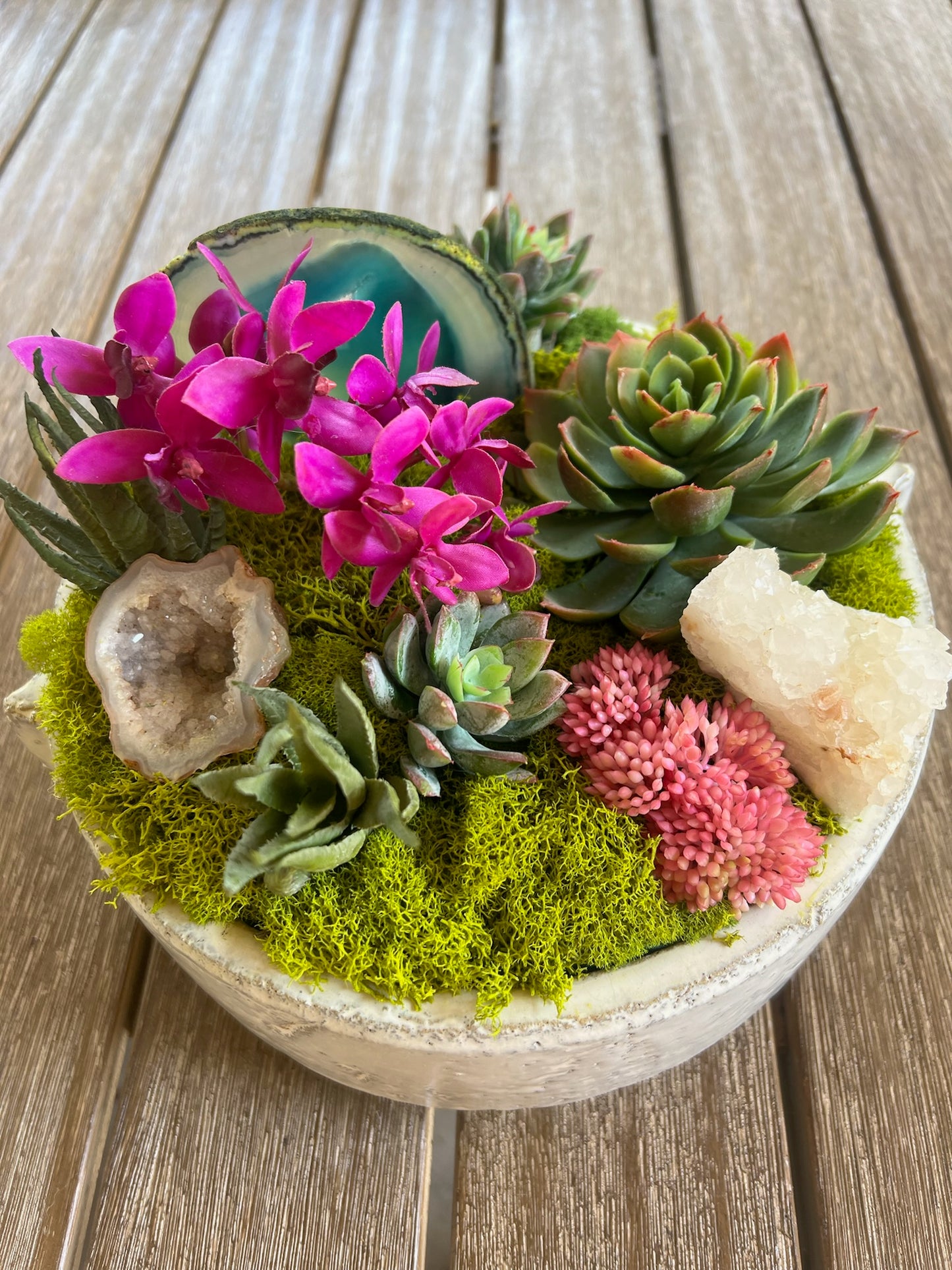 Succulent Standard