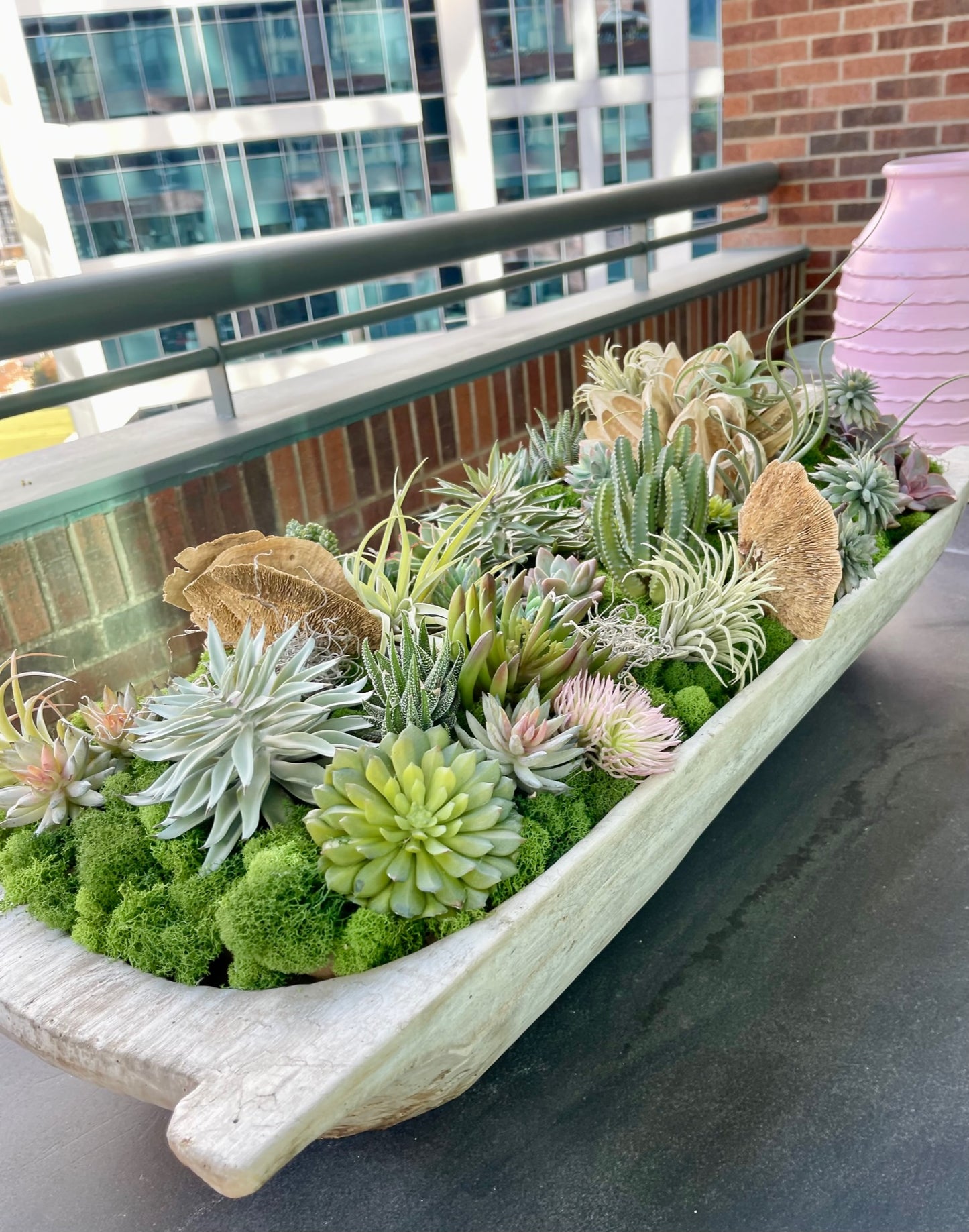 Custom Succulent Trough
