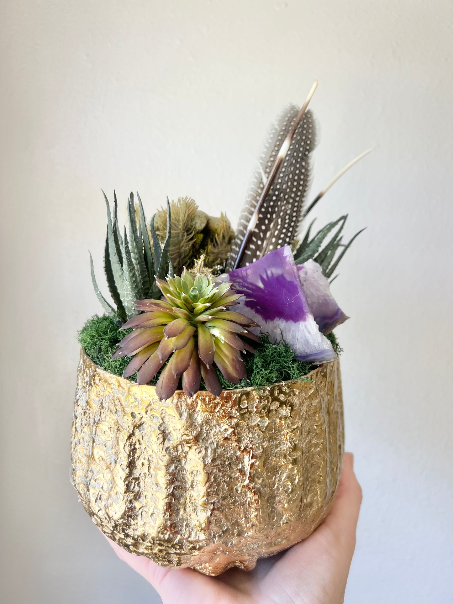 Small Golden Geode Succulent